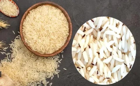Kitchen Tips: How to Store Rice During Monsoon Season