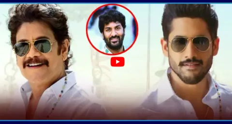 Hero Nagarjuna Targets Sankranti Box Office 1