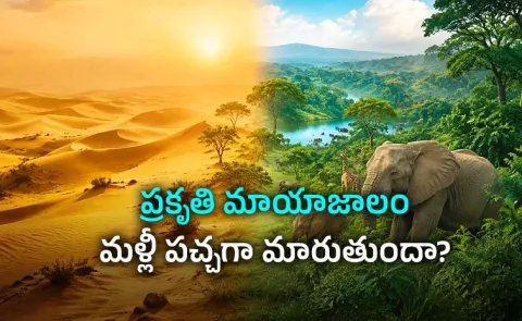 Sahara’s Hidden Past: The Desert That Was Once a Lush Green Paradise