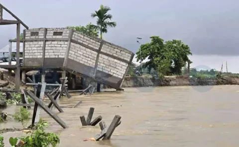 47 Killed Over 7 Lakh Affected In Assam Floods