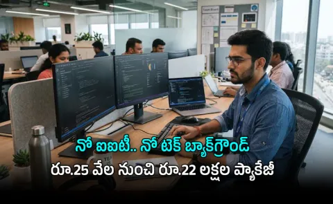 No IIT No Tech Degree BBA Grad Rejected 700 Times Scores Rs 22 Lakh MNC Job