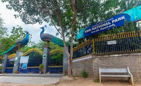 Illegal Tree Felling at KBR Park in Hyderabad