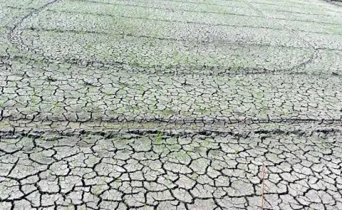 Babu government has cheated the farmers 