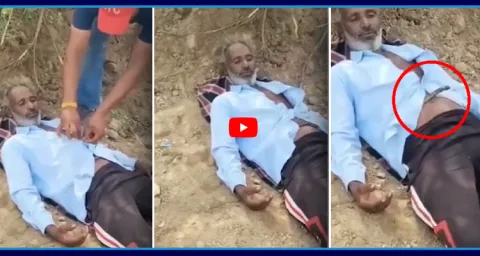 Cobra Snake In Farmer Shirt Video Goes Viral  1