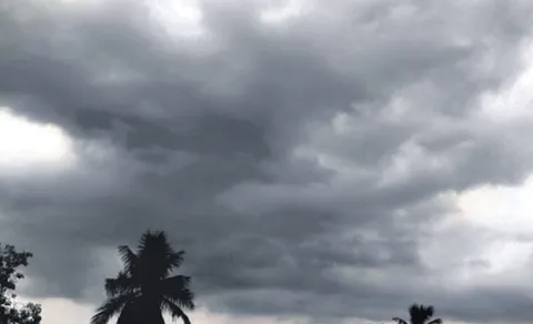Weather changing patterns heat humidity no rain monsoon anxiety