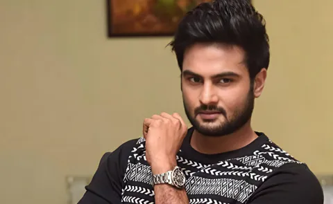 Actor Sudheer Babu Make Directorial Debut Soon