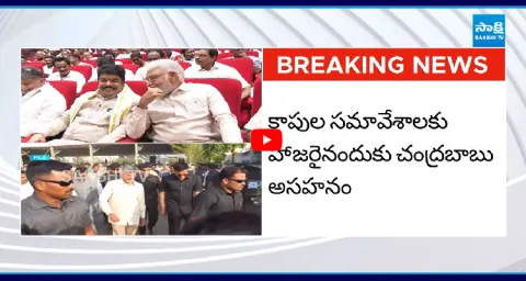 Chandrababu Serious On TDPs Kapu MLAs 1