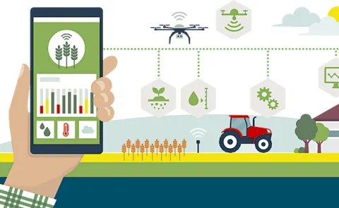 Farmers using phone apps for agricultural tasks