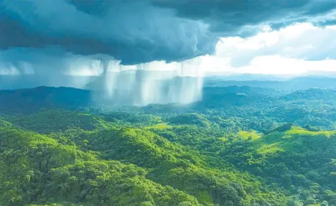 Monsoon Trip To The Mountain Regions Of Karnataka Kerala And Tamil Nadu