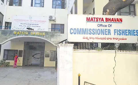 No help desk at the Fisheries Department building