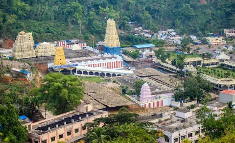 Simhachalam Hill Deforestation: Curtains Used to Hide Environment Destruction Ahead of Giri Pradaksina