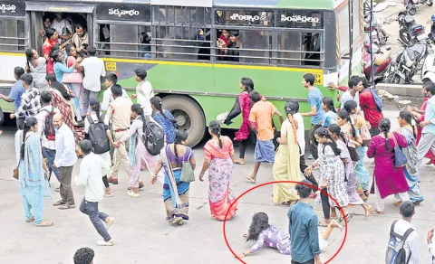 AP Free Bus Effect