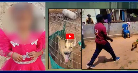 Gnaneshwari Missing Case Odisha Link Under Investigation  2