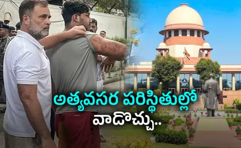 SC Backs Pellet Guns in Exceptional Situations Amid Political Storm