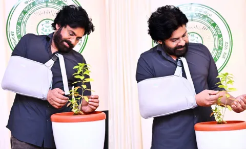 Rare Plant Species Found in Eastern Ghats Named Croton Ubbalamadugensis