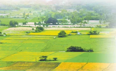 Cut in land acquisition compensation