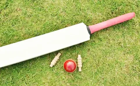 I was not selected: 17-year-old aspiring cricketer dies