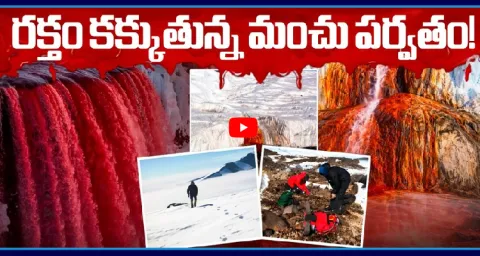 Why Is Antarctica Bleeding The Terrifying Truth Reveale 1