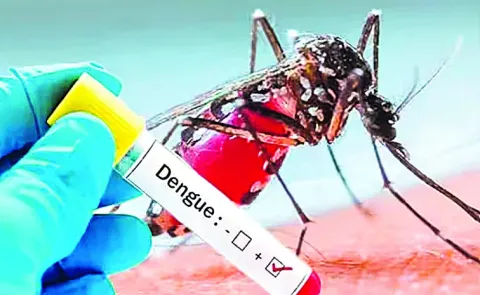 Dengue due to El Nino effect