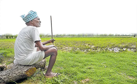 El Nino tension among farmers