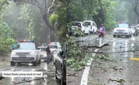  Narrow escape for Mukesh Ambani as tree falls in front of convoy amid rains