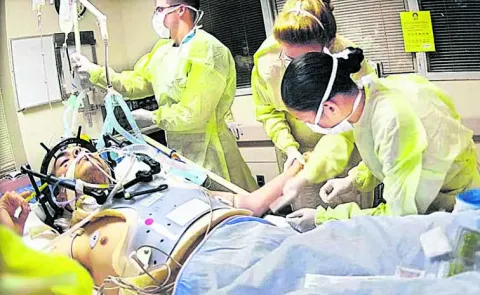 Government guidelines on euthanasia drafted