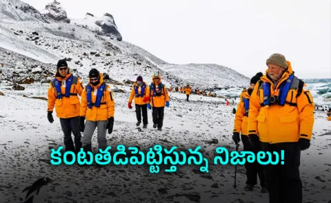 Antarctica Tourism Crisis: Why Tour Guides Are Walking Away from Their Dream Jobs 