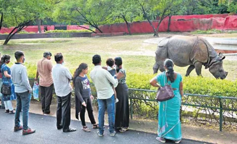 Nehru Zoological Park Hikes Entry