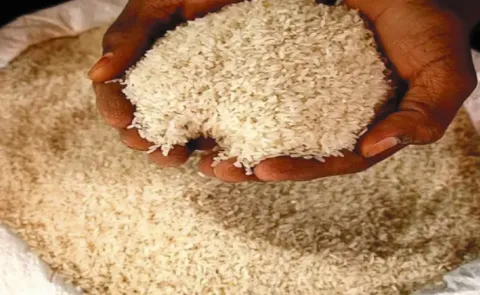 Three Months Ration Rice Distribution to Begin from August 1