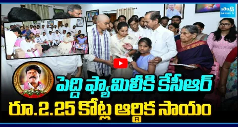 KCR Provides Rs 2 Crore 25 Lakhs Financial Aid To Peddis Family 1