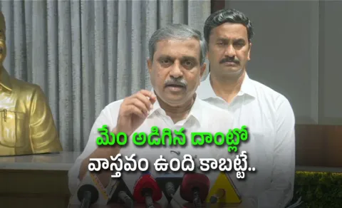 YSRCP State Coordinator Sajjala Ramakrishna Reddy On Party Rallies