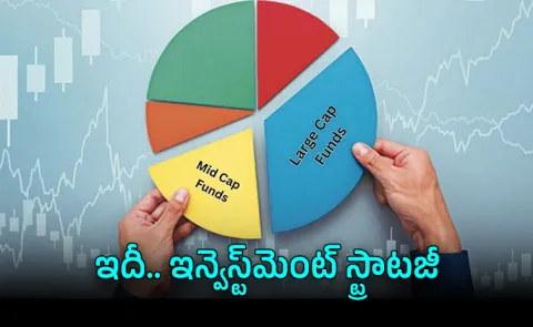 Large Mid Cap Funds Stability Growth Smart Investment Strategy