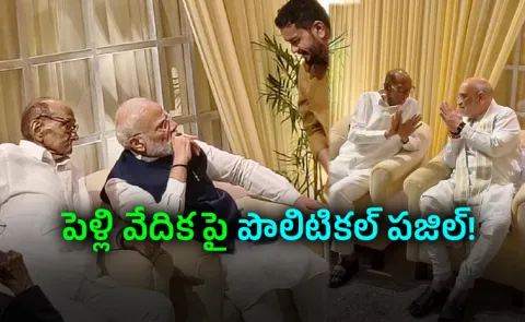 A Wedding Frame That Stirred Politics: Modi Pawar Shah Together