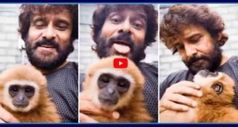 Hero Vikram In Trouble After Video With Endangered Lar Gibbon Goes Viral 1