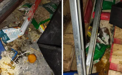 Food Safety Crackdown Want To Make State Healthier Again  Karnataka Minister 