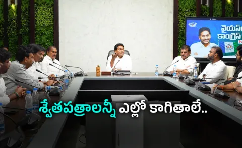 YS Jagan Meeting With Party MLAs And MLCs Updates