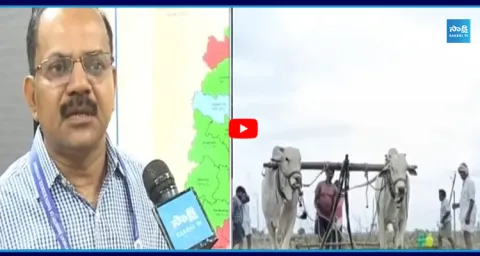 Rainfall Deficit in Telangana.. Rising Concerns Among Farmers 1