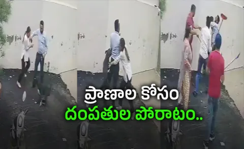 Punjab Couple Attacked By Pitbull Video Viral