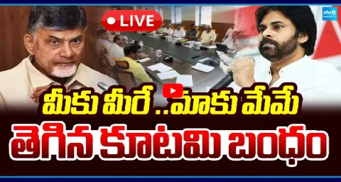 Special Story On Pawan Kalyan And Chandrababu 1