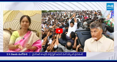 Vijaya Manohari Comments Chandrababu Over YS Jagan Kurnool Jail Incident 1
