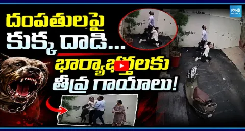  Viral Video Dog Attack On Couple Husband And Wife Seriously Injured 1