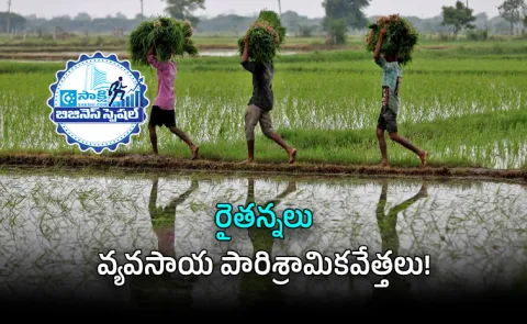 From Farmer to Agri Entrepreneur Ultimate Guide Financial Freedom Agriculture