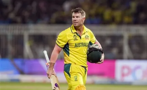 David Warner To Feature In WCL Season 3 Alongside AB De Villiers, Yuvraj Singh5