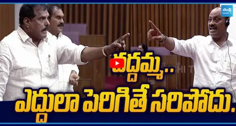 Bosta Satyanarayana Fire's on Atchannaidu 2