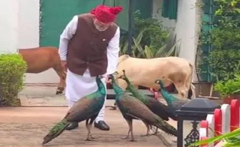 PM Narendra Modi reveals special morning routine, feeds peacocks, cows 
