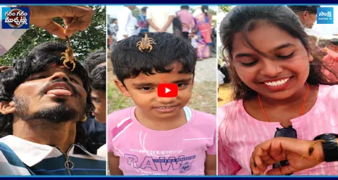 Scorpion Festival Latest Garam Garam Varthalu 1
