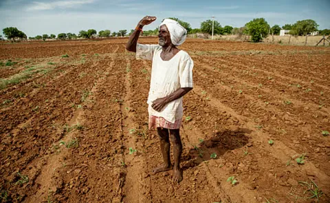 Drought woes spread across India despite revival of monsoon rains
