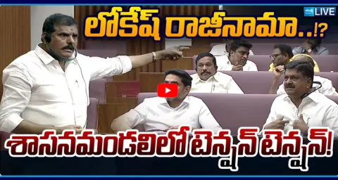 AP Legislative Council 2026 Nara Lokesh Resignation 1