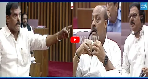 Botsa Satyanarayana Fires on Minister Nadendla Manohar in AP Council  1