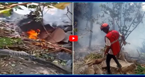 Deadly Helicopter Crash In Kenya 7 People Killed 1